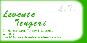 levente tengeri business card